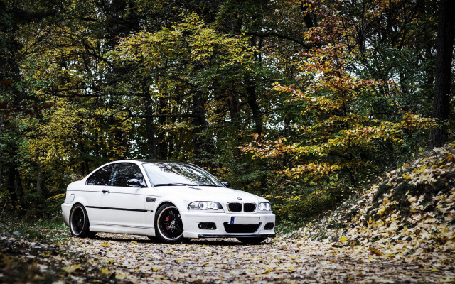 White car autumn forest night free wallpaper for desktop - medium preview image