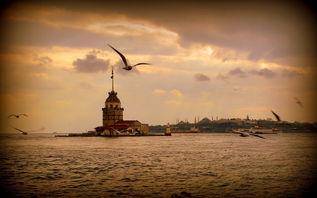 Birds lighthouse cityscape matte cinematic free wallpaper for desktop - medium preview image