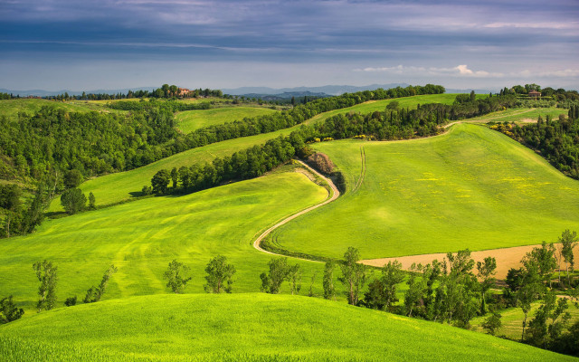 Green field winding path trees free wallpaper for desktop - medium preview image