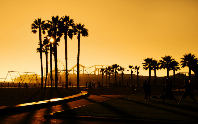 Sunset palm trees rollercoaster group free wallpaper for desktop - medium preview image