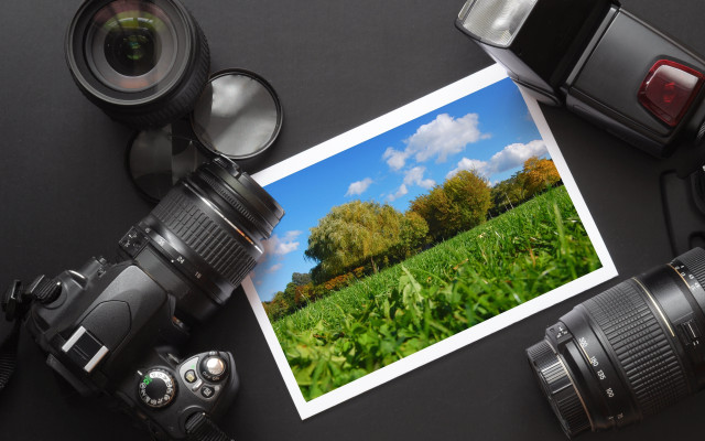 Camera field trees grass lens free wallpaper for desktop - medium preview image
