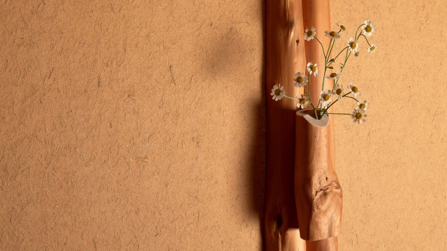 Vase flowers wall wooden stick free wallpaper for desktop - medium preview image