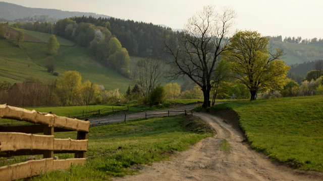 Dirt road green countryside tree free wallpaper for desktop - medium preview image