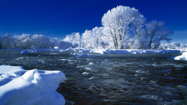 Winter river ice snow trees free wallpaper for desktop - medium preview image
