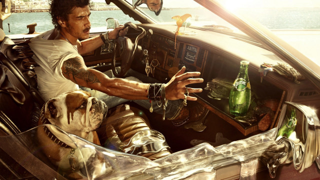 Man driving car dog beer free wallpaper for desktop - medium preview image