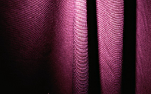Purple curtain white cat studio free wallpaper for desktop - medium preview image