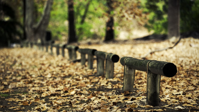 Metal pipes leaves forest bokeh free wallpaper for desktop - medium preview image