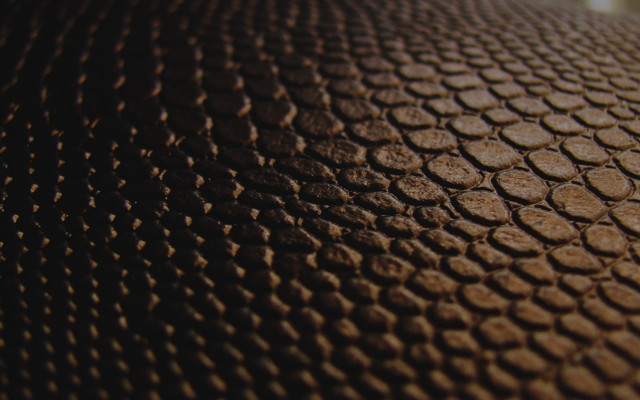 Brown surface circles texture blurry free wallpaper for desktop - medium preview image