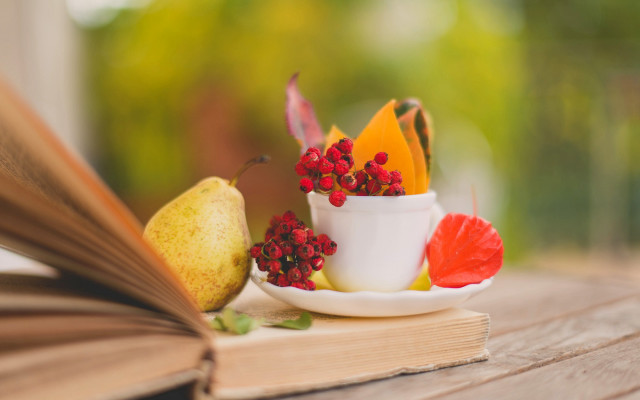 Book fruit coffee outdoor autumn free wallpaper for desktop - medium preview image