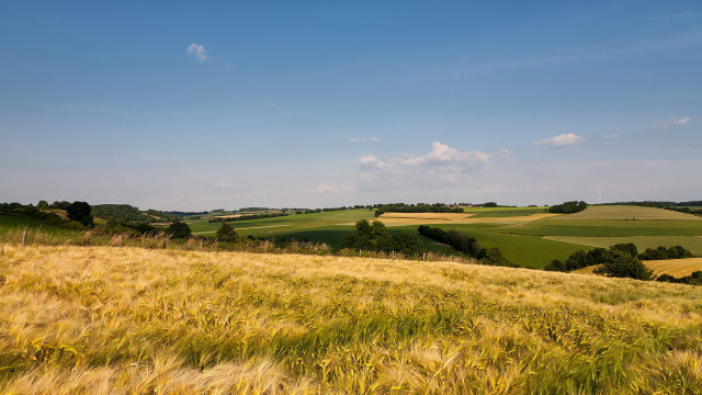 Grass field clouds sky landscape free wallpaper for desktop - medium preview image