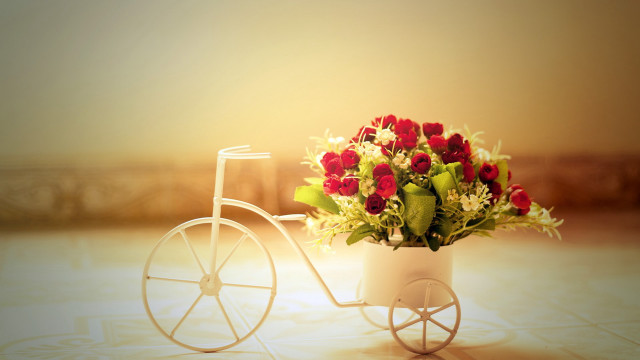 White bicycle flower basket yellow free wallpaper for desktop - medium preview image