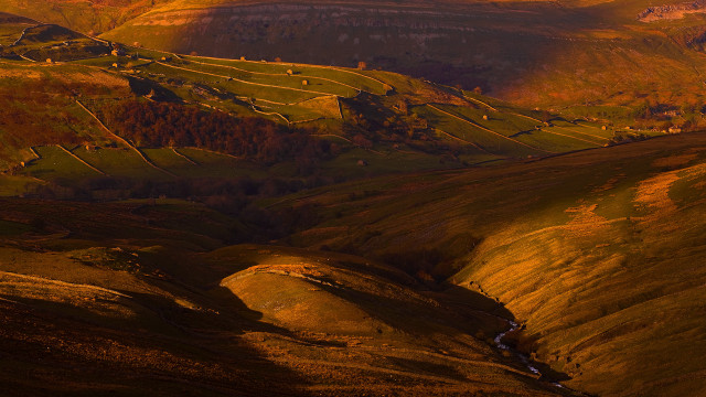 Valley stream hillside trees tiltshift free wallpaper for desktop - medium preview image
