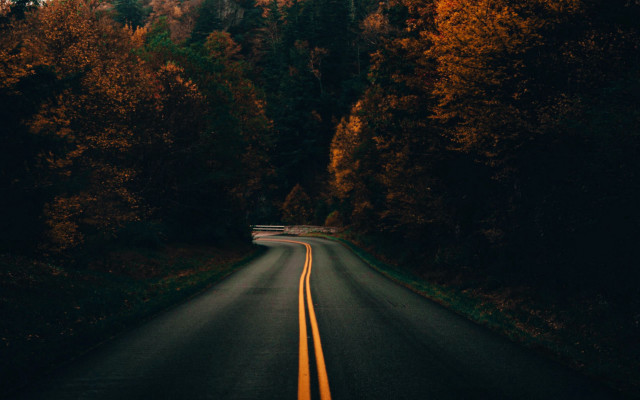 Forest road mountains night starry free wallpaper for desktop - medium preview image