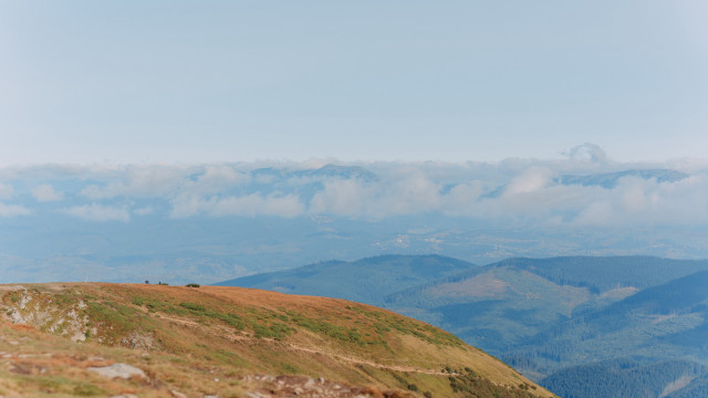 Lone sheep grassy hill mountains free wallpaper for desktop - medium preview image