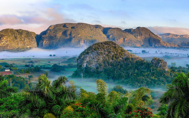 Mountain valley forest mist sky free wallpaper for desktop - medium preview image