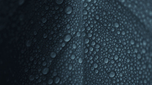 Water droplets blurry dark background free wallpaper for desktop - medium preview image