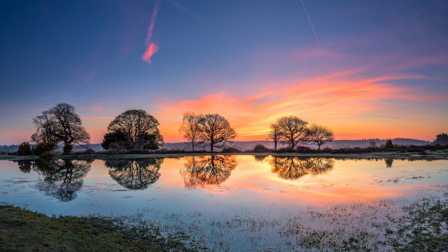 Sunset trees water reflections cityscape free wallpaper for desktop - medium preview image