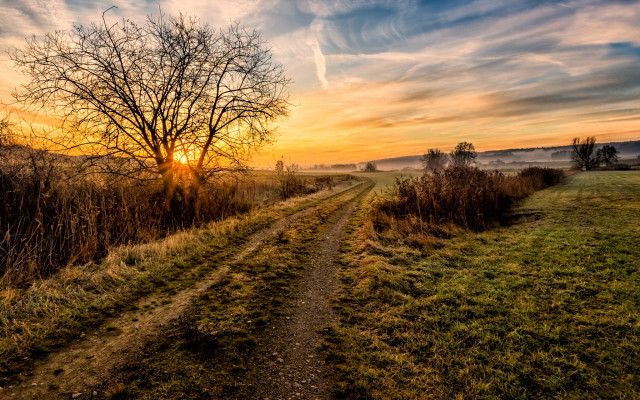 Dirt road tree sunset clouds free wallpaper for desktop - medium preview image