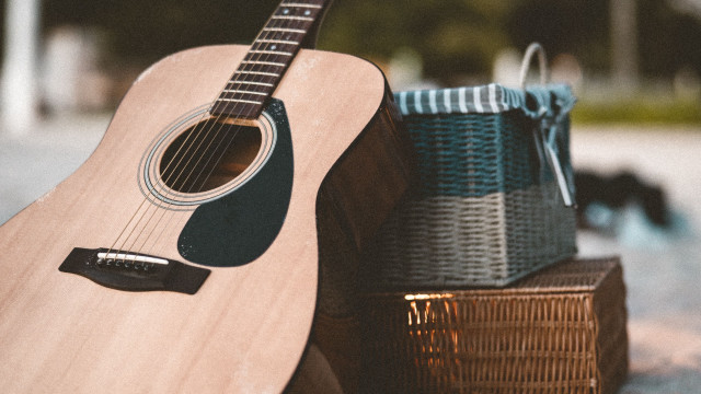 Guitar basket luggage dog park free wallpaper for desktop - medium preview image