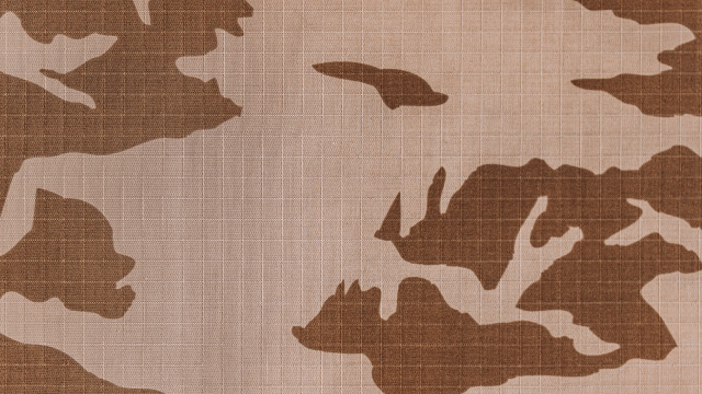 Camouflage dog bird matte abstract free wallpaper for desktop - medium preview image