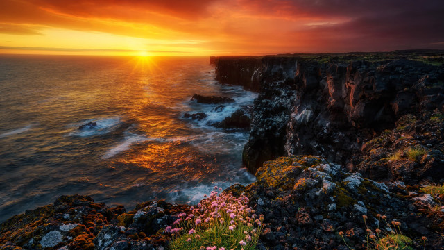 Sunset ocean cliff flowers shore free wallpaper for desktop - medium preview image