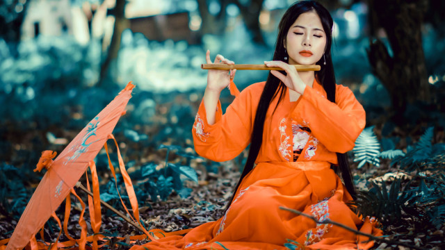 Orange dress flute forest bokeh free wallpaper for desktop - medium preview image