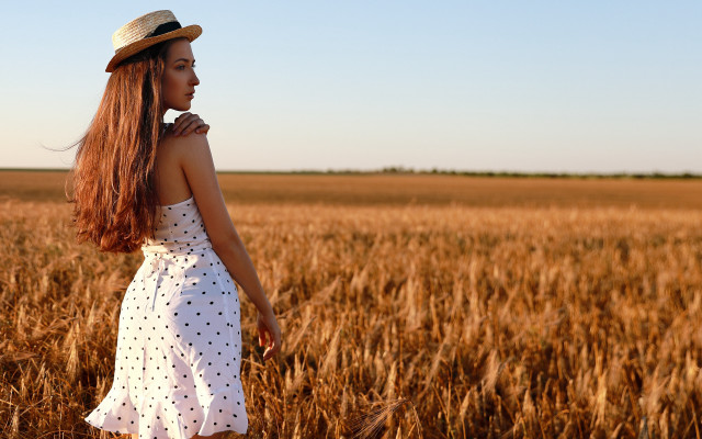 Woman hat wheat field sunset free wallpaper for desktop - medium preview image