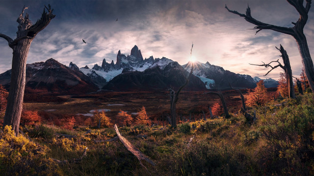 Mountain range trees bird cloudy free wallpaper for desktop - medium preview image