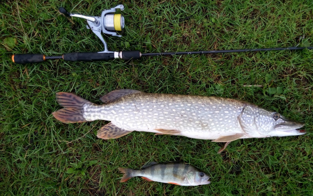 Fish fishing rod grass field free wallpaper for desktop - medium preview image