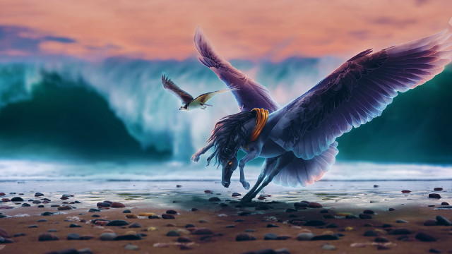 Flying bird over beach waves free wallpaper for desktop - medium preview image