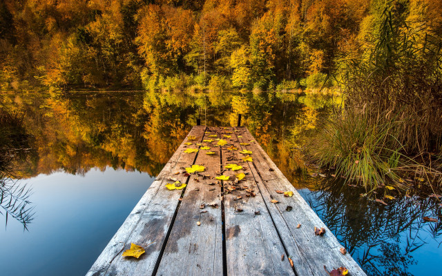 Wooden dock leaves lake autumn free wallpaper for desktop - medium preview image