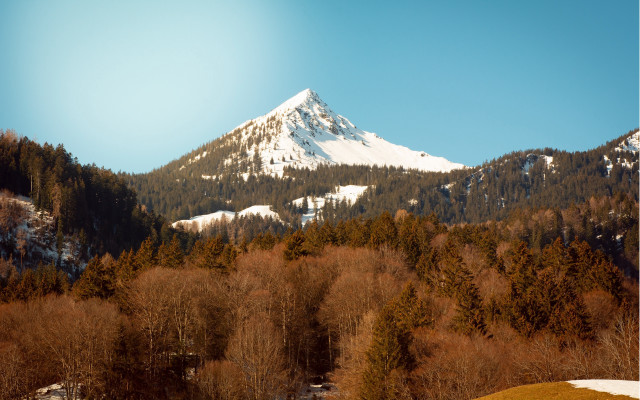 Mountain snow peak forests lake free wallpaper for desktop - medium preview image