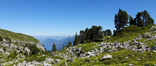 Mountain lake forest field sky free wallpaper for desktop - medium preview image