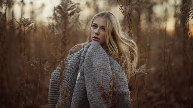 Woman field tallgrass back view free wallpaper for desktop - medium preview image