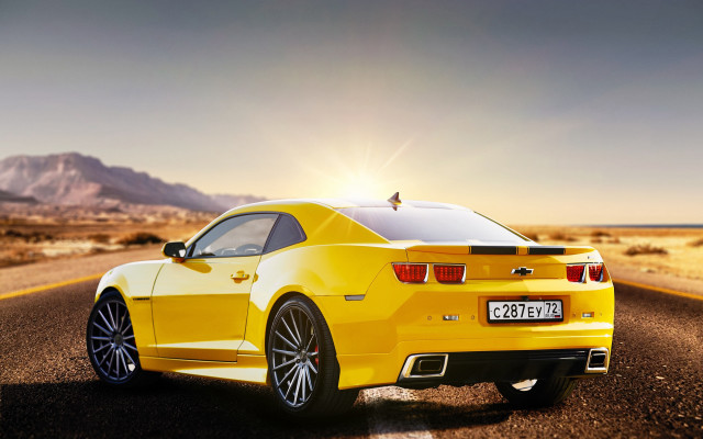 Yellow sports car desert bird free wallpaper for desktop - medium preview image