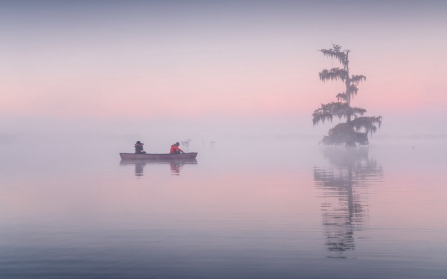 Lake foggy boat trees art free wallpaper for desktop - medium preview image