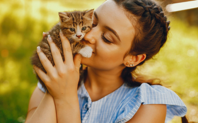 Woman kitten outdoors sunny green free wallpaper for desktop - medium preview image