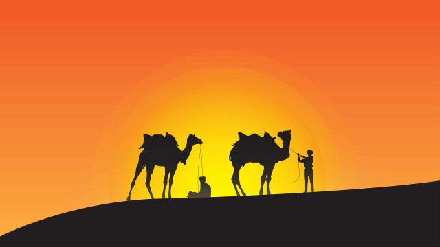 Desert sunset man camels hill free wallpaper for desktop - medium preview image