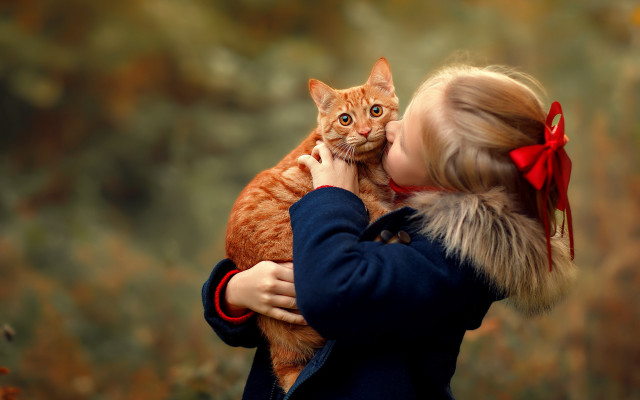 Little girl kissing cat bow free wallpaper for desktop - medium preview image