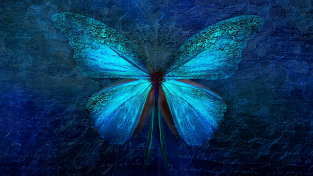 Blue butterfly hologram nature forest free wallpaper for desktop - medium preview image