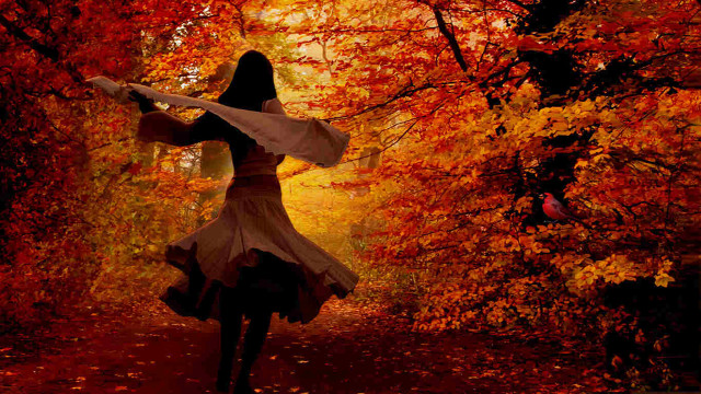 Woman white dress forest autumn free wallpaper for desktop - medium preview image