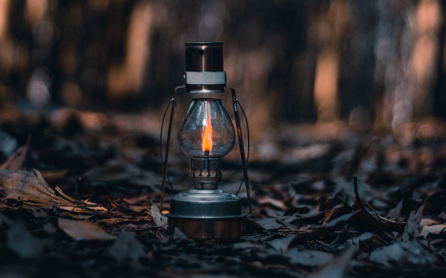Light bulb leaves woods candle free wallpaper for desktop - medium preview image