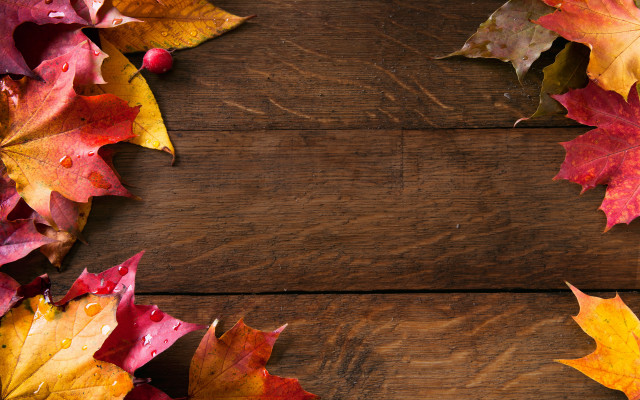 Wooden table leaves cell phone free wallpaper for desktop - medium preview image