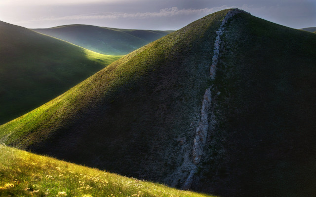 Grassy hill stream flower sunset free wallpaper for desktop - medium preview image