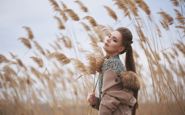Woman field tallgrass pony tail free wallpaper for desktop - medium preview image