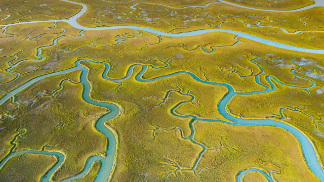 River green plain riverbed plane free wallpaper for desktop - medium preview image