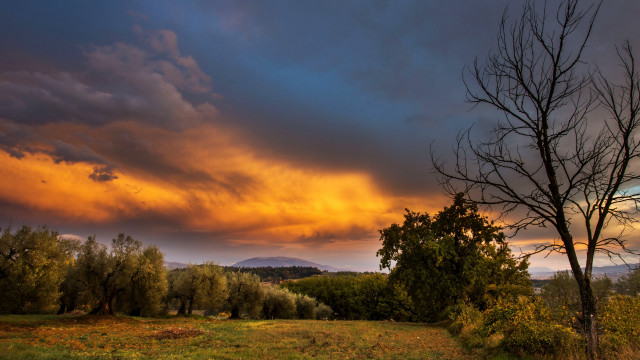 Mystical autumn field trees cloudy free wallpaper for desktop - medium preview image