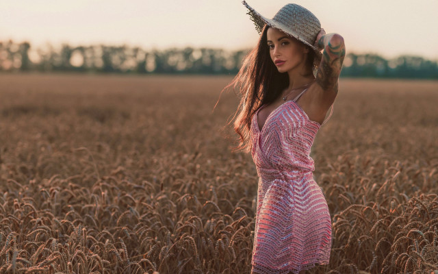 Woman hat wheat field fashion free wallpaper for desktop - medium preview image