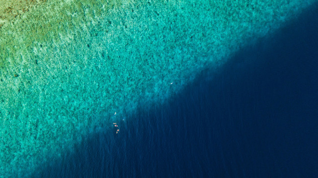 Surfing rider wave ocean beach free wallpaper for desktop - medium preview image