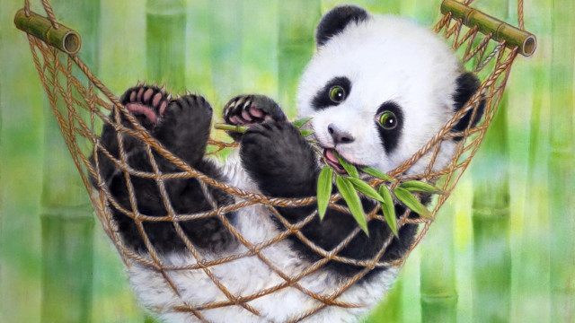 Panda hammock bamboo green eyes free wallpaper for desktop - medium preview image